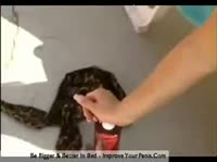 ������������ ����� ��� ������