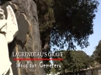 ����������� �������� ���������