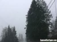 ������ ������� ����� ���� � ������