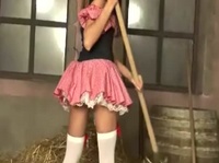 ����������������� �������� �����